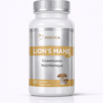 lions-mane-memoire-concentration-nootropique