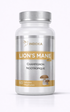 lions-mane-memoire-concentration-nootropique