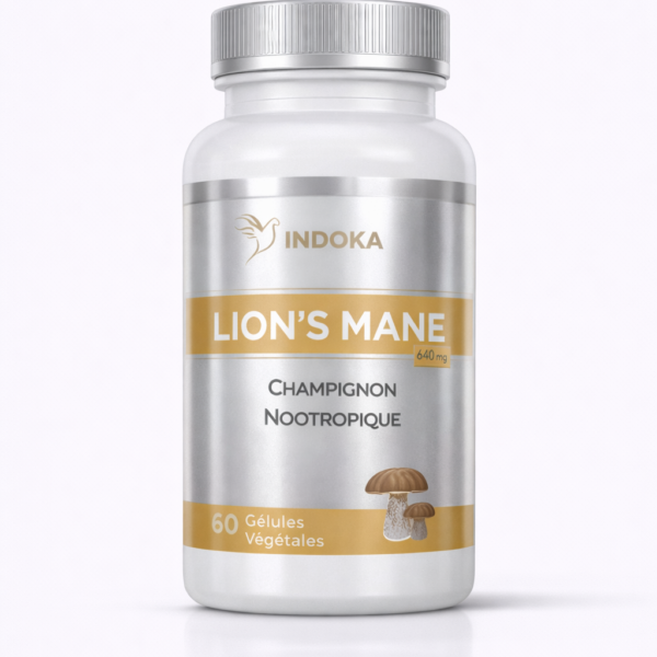 lions-mane-memoire-concentration-nootropique