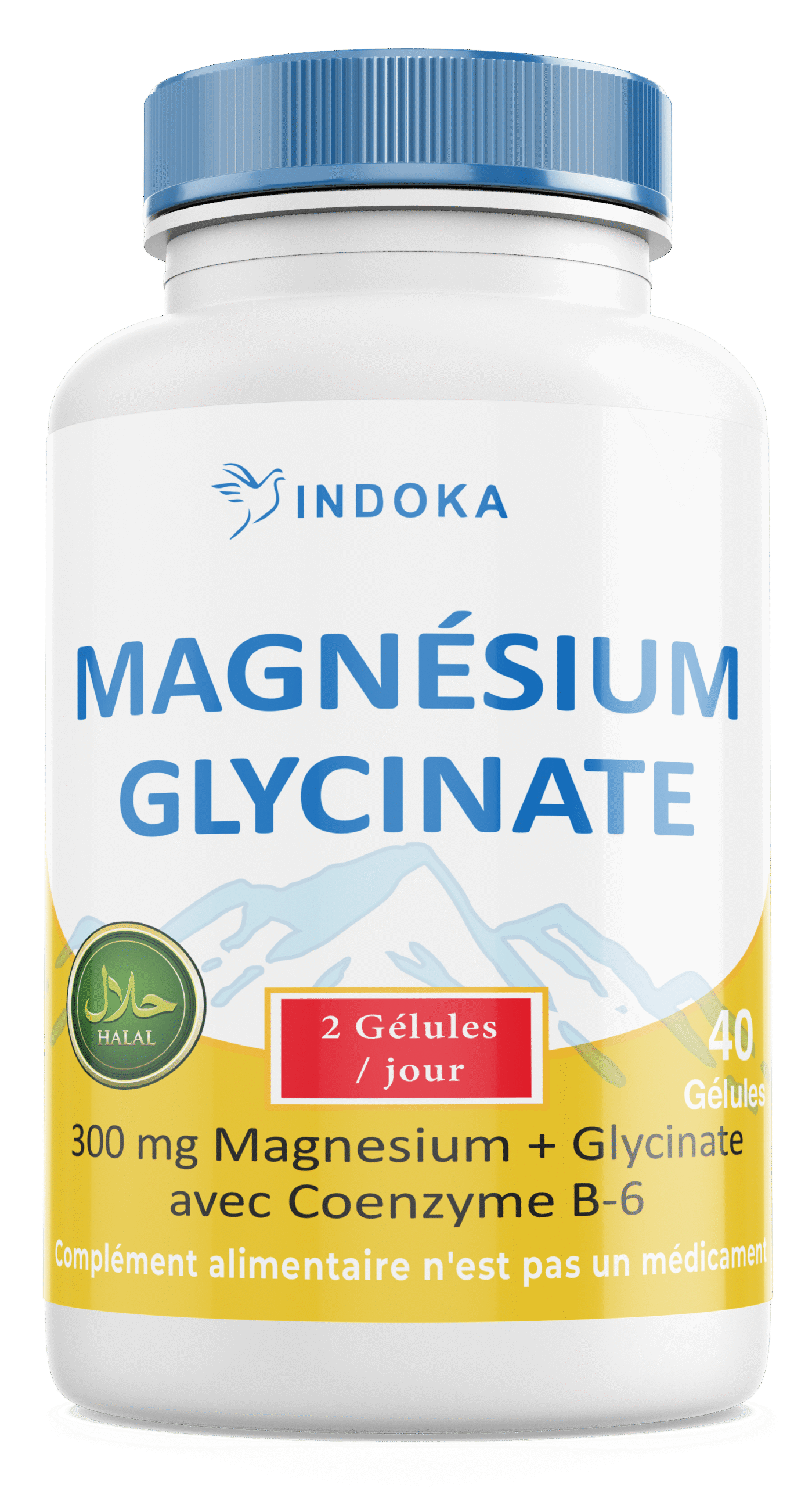 magnesium glycinate indoka Magnesium Glycinate 40 Gelules – Image 1
